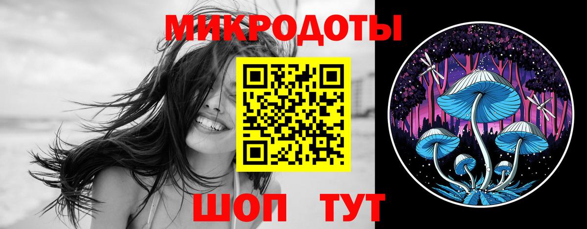 Псилоцибиновые грибы Psilocybe Каменск-Шахтинский