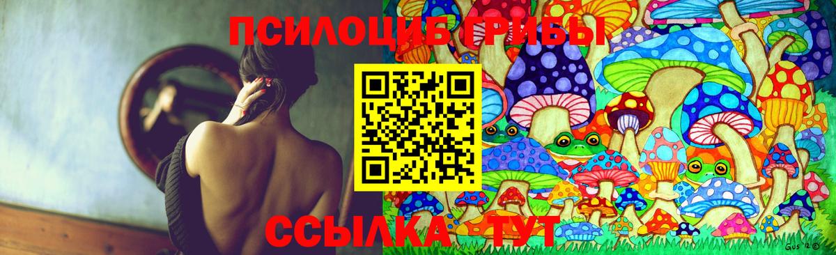 Галлюциногенные грибы Magic Shrooms  Вход с VPN  Каменск-Шахтинский 